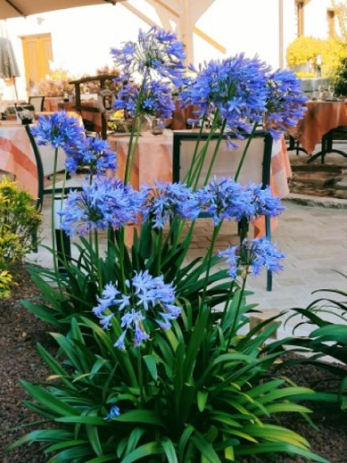 La Chaumiere Hotel Aubigny sur Nere Bagian luar foto